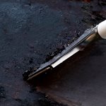 Grattoir à plaque de cuisson à manche long Razor