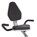 Stamina Recumbent 2 in 1 Upper Body Workout Indoor Stationary Exercise Bike