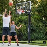 Filet de défense Silverback