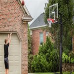 Filet de défense Silverback