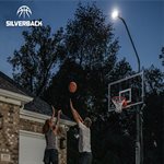 Silverback LED Hooplight